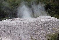 IMG_7610