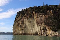IMG_7619