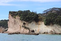 IMG_7628