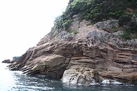 IMG_7641