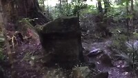 Wandeling naar de Abbey Caves