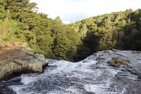 IMG_7645