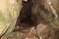 IMG_7648