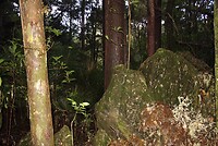 IMG_7651