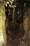IMG_7654