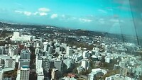 Sky tower Auckland