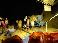 Het oogstfeest