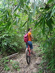 Mountainbike