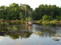 Met 2 buffels door de rivier