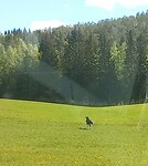 1000040816