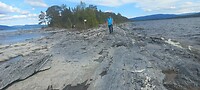 1000041053