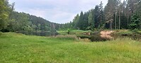 IMG-20250707-WA0002