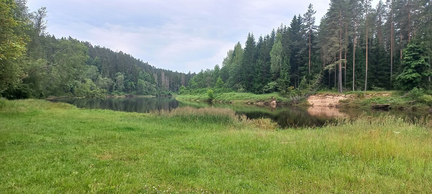 IMG-20250707-WA0002