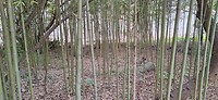 20251124_143334