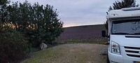 1000055320