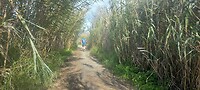 IMG-20260210-WA0011