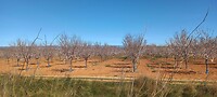 IMG-20260225-WA0009