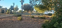 IMG-20260225-WA0004