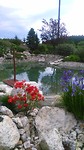 IMG_20170612_172048