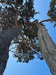 IMG-20240802-WA0011