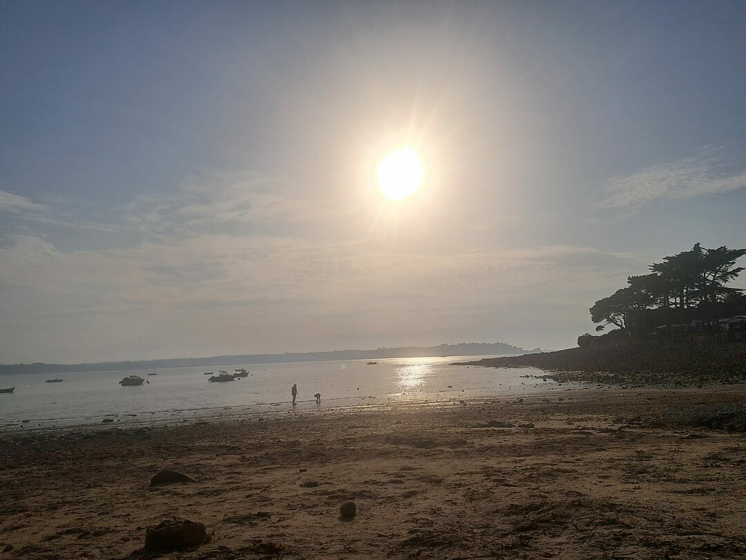 IMG-20240802-WA0003