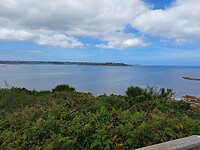 IMG-20240804-WA0005