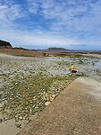 IMG-20240807-WA0000