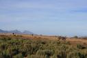 Oudtshoorn is mooi