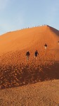 Dune 45