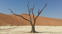 Deadvlei