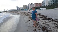 Miami Beach