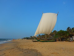 Negombo strand