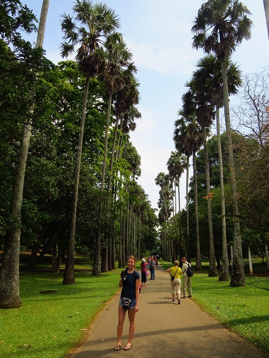 Kandy Botanische tuinen