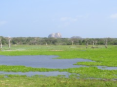 Elephant Rock in Yala