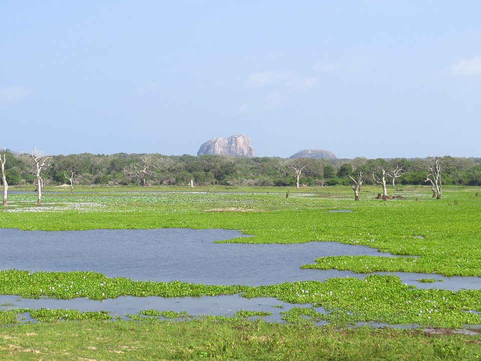 Elephant Rock in Yala