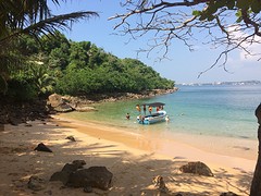 Jungle Beach