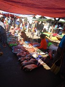 DSCN0225