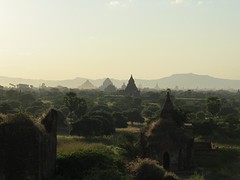 IMG_0155