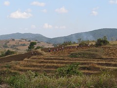 IMG_0248
