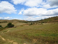 IMG_0261