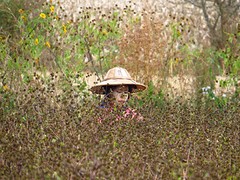IMG_0339