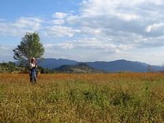 IMG_0359
