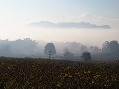 IMG_0403