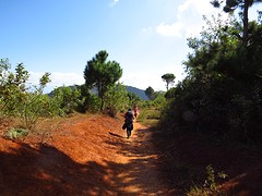 IMG_0416