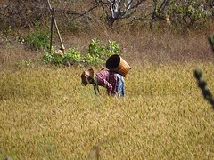 IMG_0427