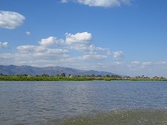 IMG_0450