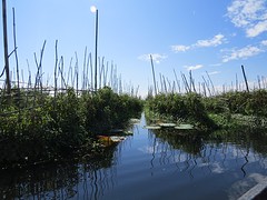 IMG_0540