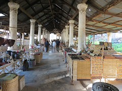 IMG_0635