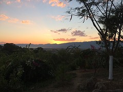 IMG_1448
