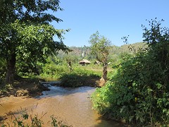 IMG_9155